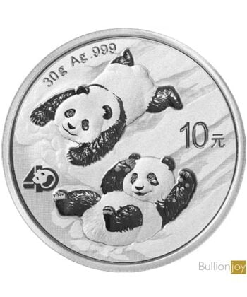 2022 30 Gram China Silver Panda Coin - UK